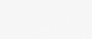 白色简约星星免抠