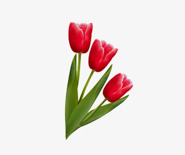 鲜花免抠