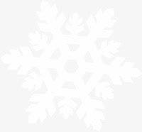 白色唯美冬日雪花朦胧免抠