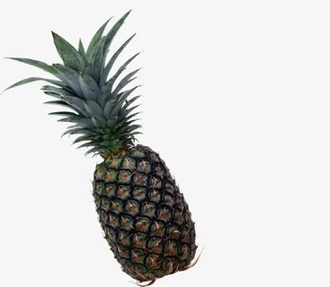 手绘菠萝春节卡片免抠