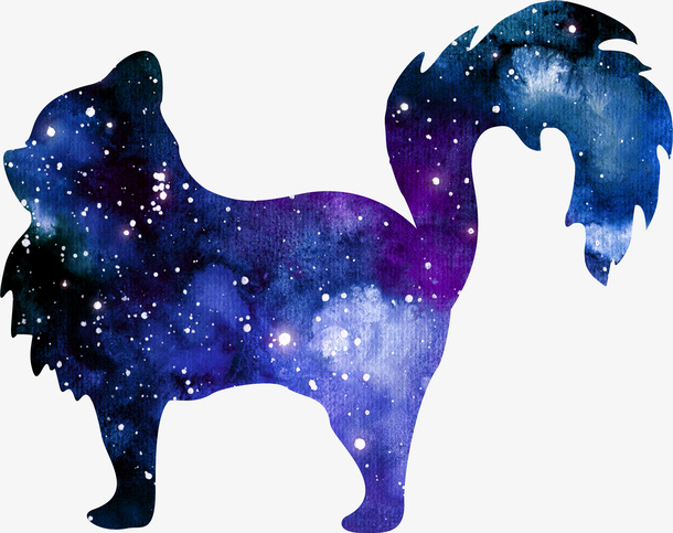 科技之光猫咪效果图免抠