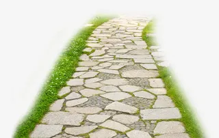 手绘绿色草坪石头路免抠