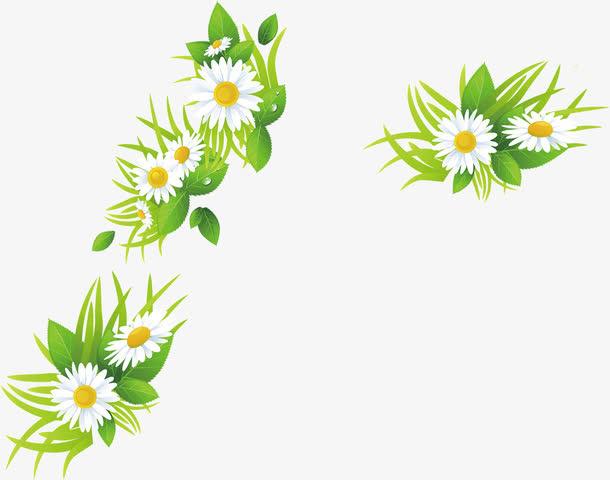 清新春天小雏菊装饰花朵免抠