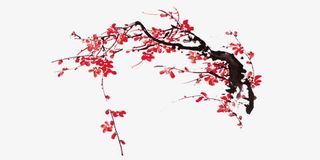 喜庆中国风腊梅 梅花冬日免抠