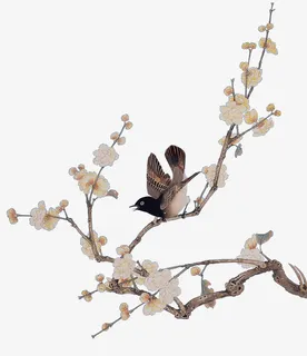 梅花与鸟免抠