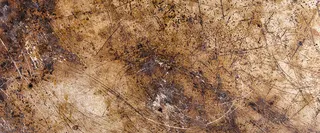 褐色痕迹背景高清