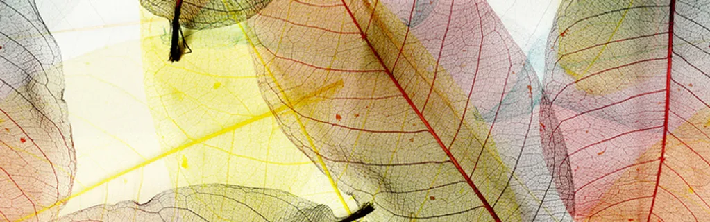 梦幻纹理背景高清