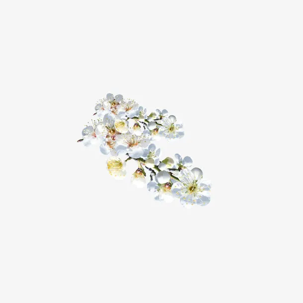 花免抠