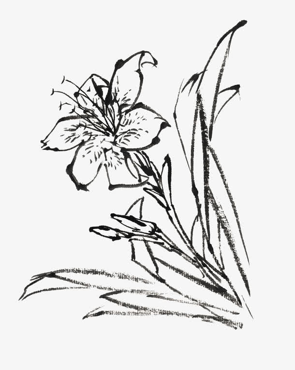 植物免抠