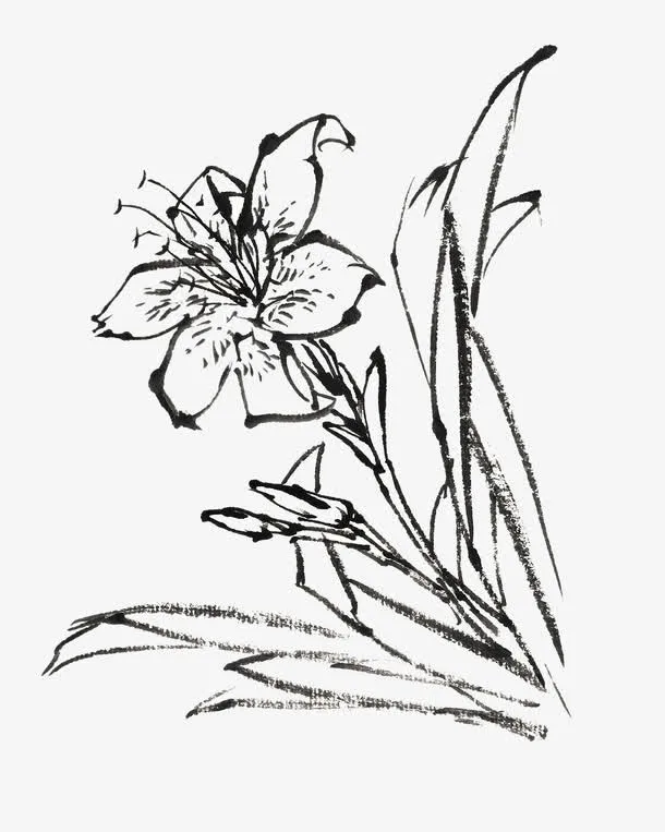 植物免抠