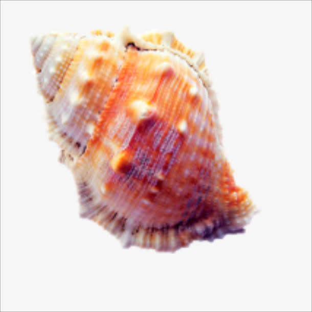海产免抠