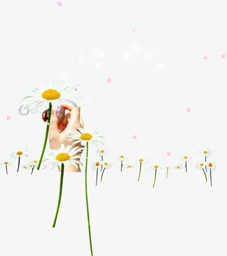 白色鲜花花瓣漂浮手势呵护免抠