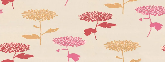 唯品会背景图高清