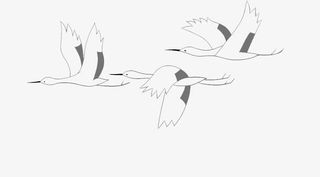 大雁装饰12免抠