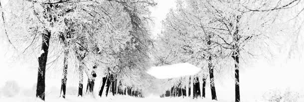 街道树林雪景免抠