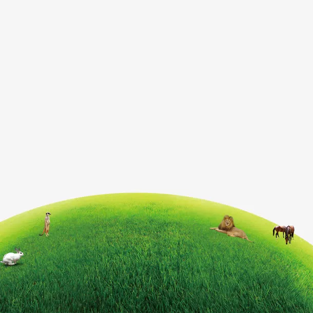 自然绿色的草地免抠