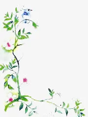 绿叶花纹边框免抠