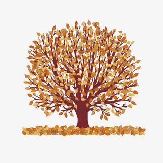 秋天漂亮的树木矢量免抠