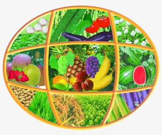 绿色农作物免抠