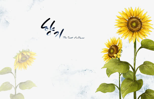 向日葵简约文艺海报底纹免抠
