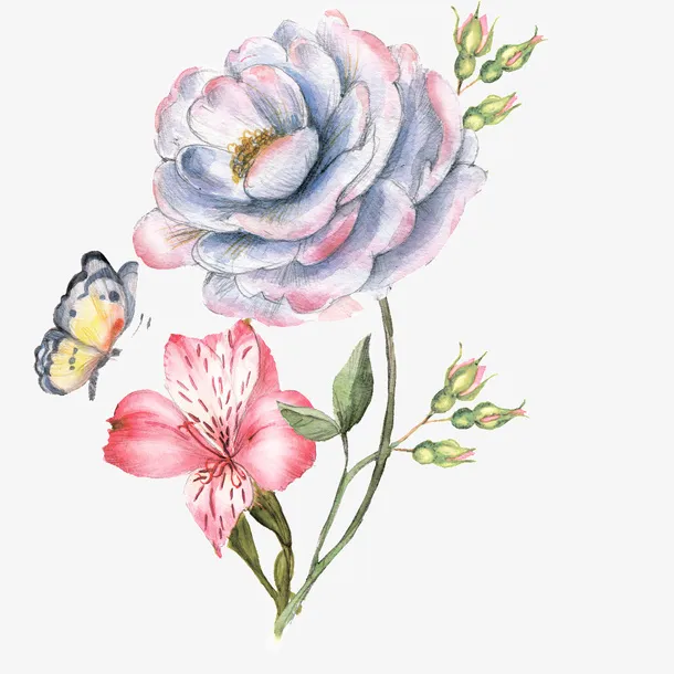 梦幻花朵免抠