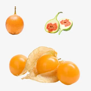 红姑娘食物免抠