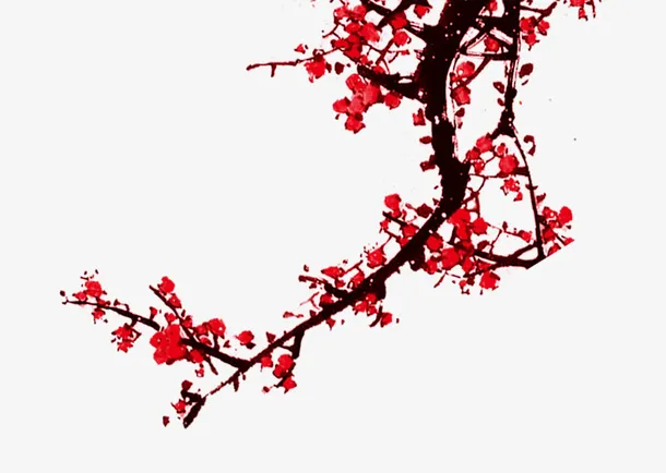 中国风红色的梅花免抠