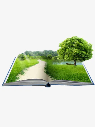 绿色书本免抠