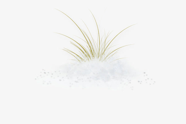 小草免抠