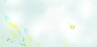 小清新花瓣背景高清