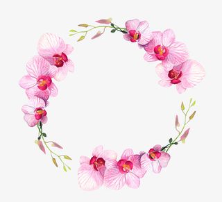 手绘花草蝴蝶兰花环免抠