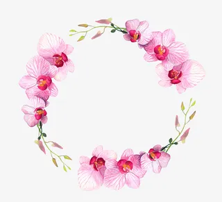 手绘花草蝴蝶兰花环免抠