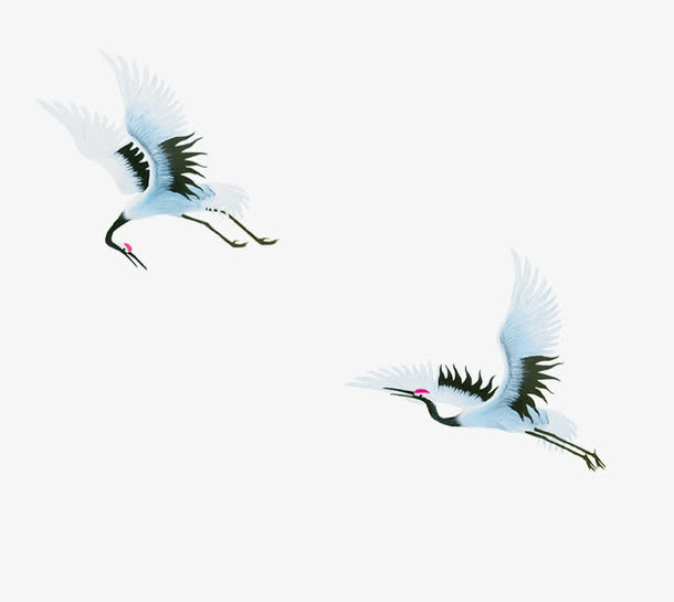 鹤免抠