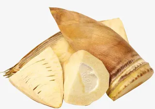 新鲜冬笋竹笋免抠