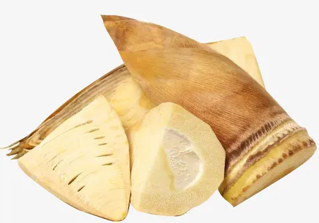 新鲜冬笋竹笋免抠 新鲜冬笋竹笋免抠