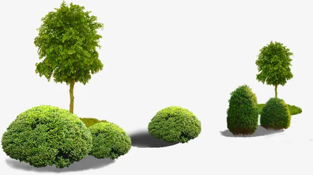 春季公园植物草丛免抠