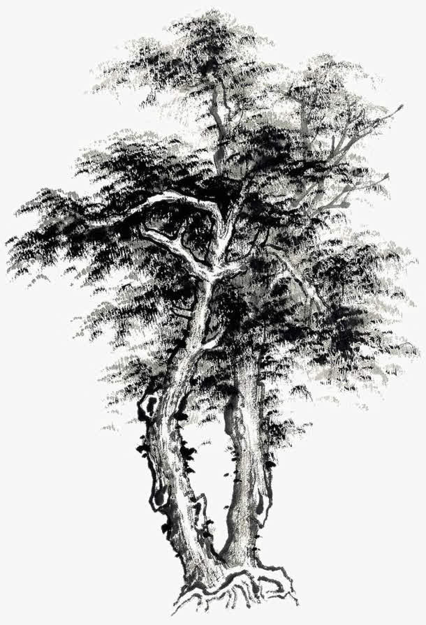 国画树免抠