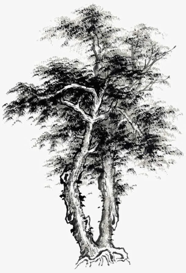 国画树免抠