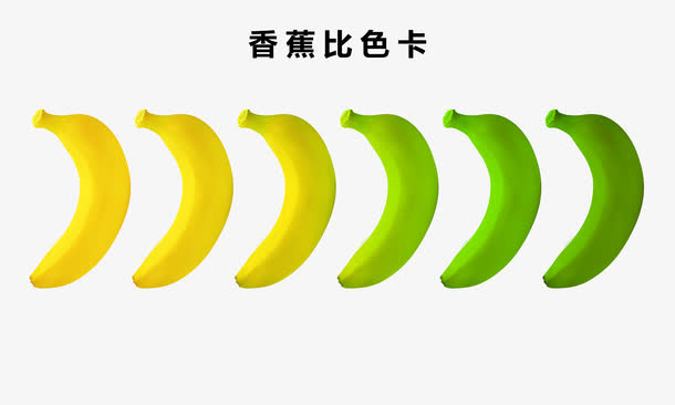 香蕉成熟度比较素材免抠