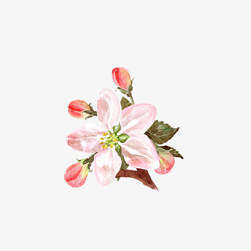 盛开的桃花免抠