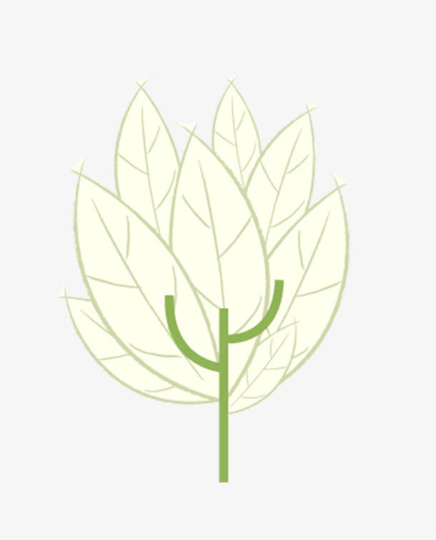 树免抠