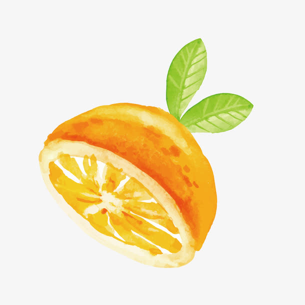 手绘切开的橙子免抠