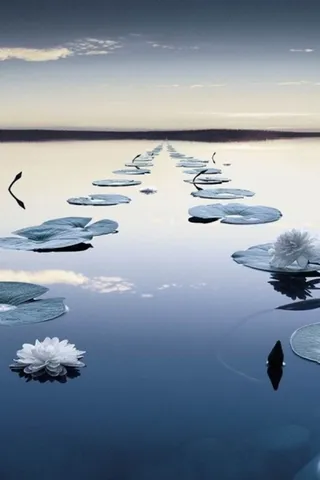 海上摄影素材高清