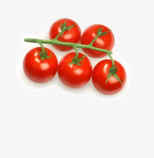 西红柿免抠