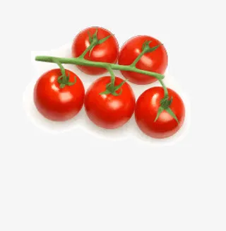 西红柿免抠