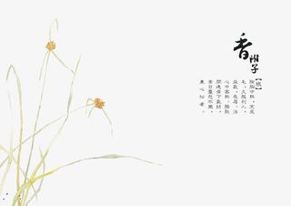 手绘中医中药素材免抠