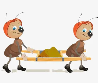 搬运土壤的蚂蚁免抠