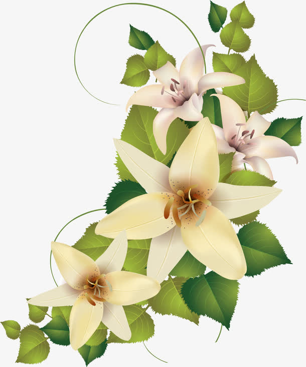 中秋节手绘白色花朵绿叶免抠