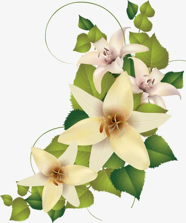 中秋节手绘白色花朵绿叶免抠