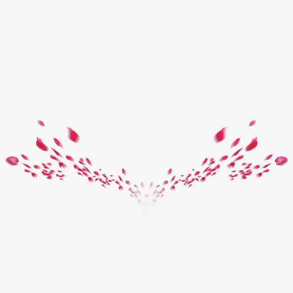 散开的花朵免抠